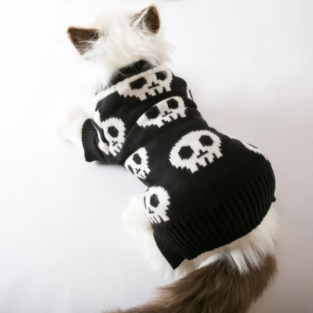 Pull pour Chien Tête de Mort