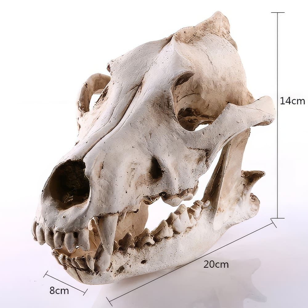 Skull Wolf 3D