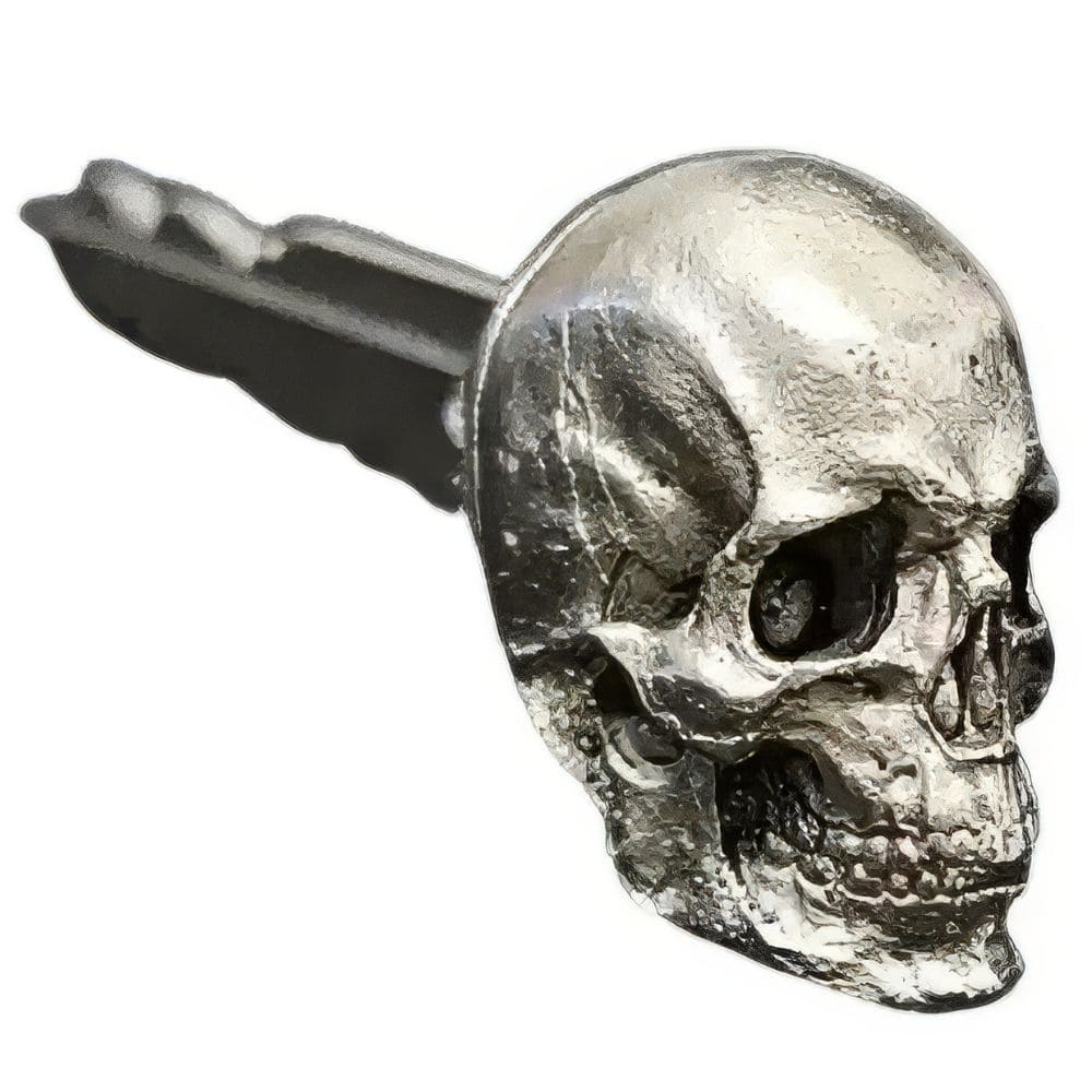 Décoration de Clé Tête de Mort