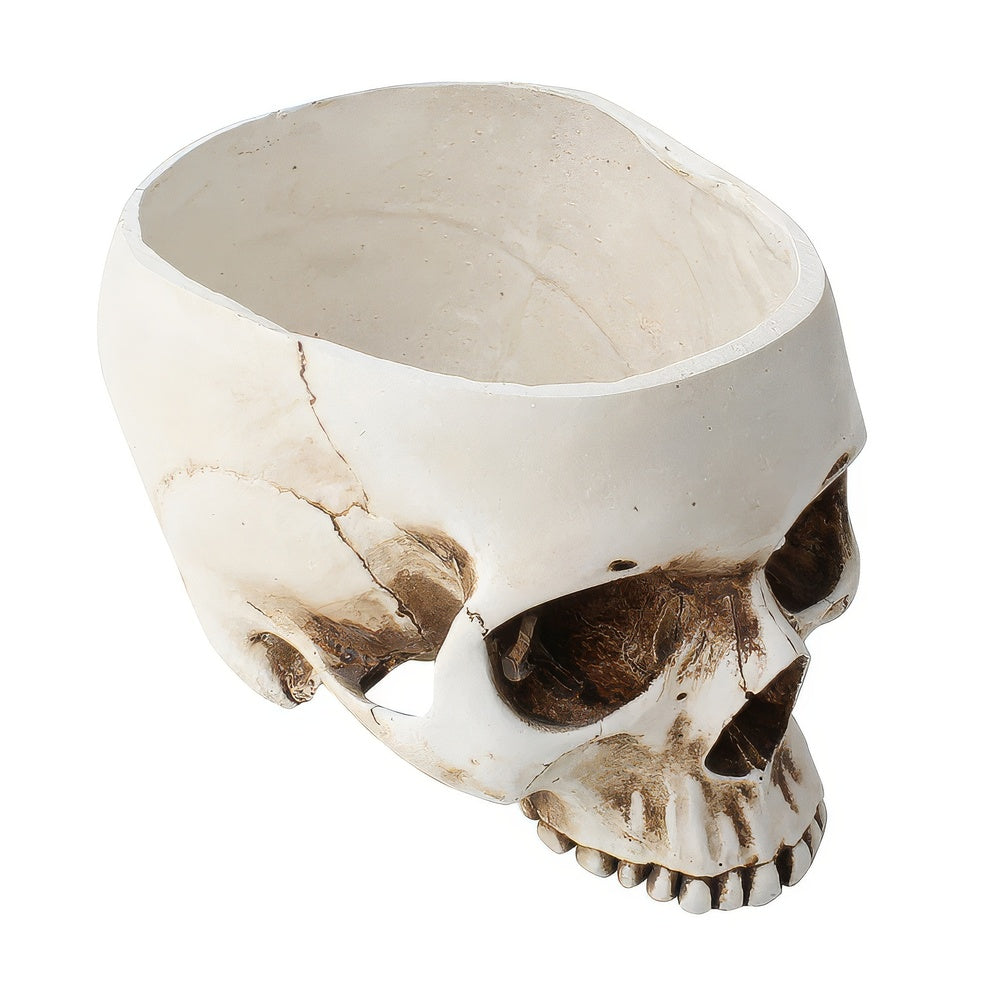 Vase Skull